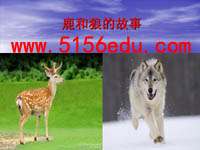 《鹿和狼的故事》ppt课件(13页)